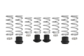 Picture of Eibach Pro-UTV 20-21 Polaris General XP 4 1000 Stage 2 Performance Springs