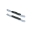 Picture of Westin 21-22 Ford Bronco 2-Door PRO TRAXX 4 Oval Nerf Step Bars - Polished