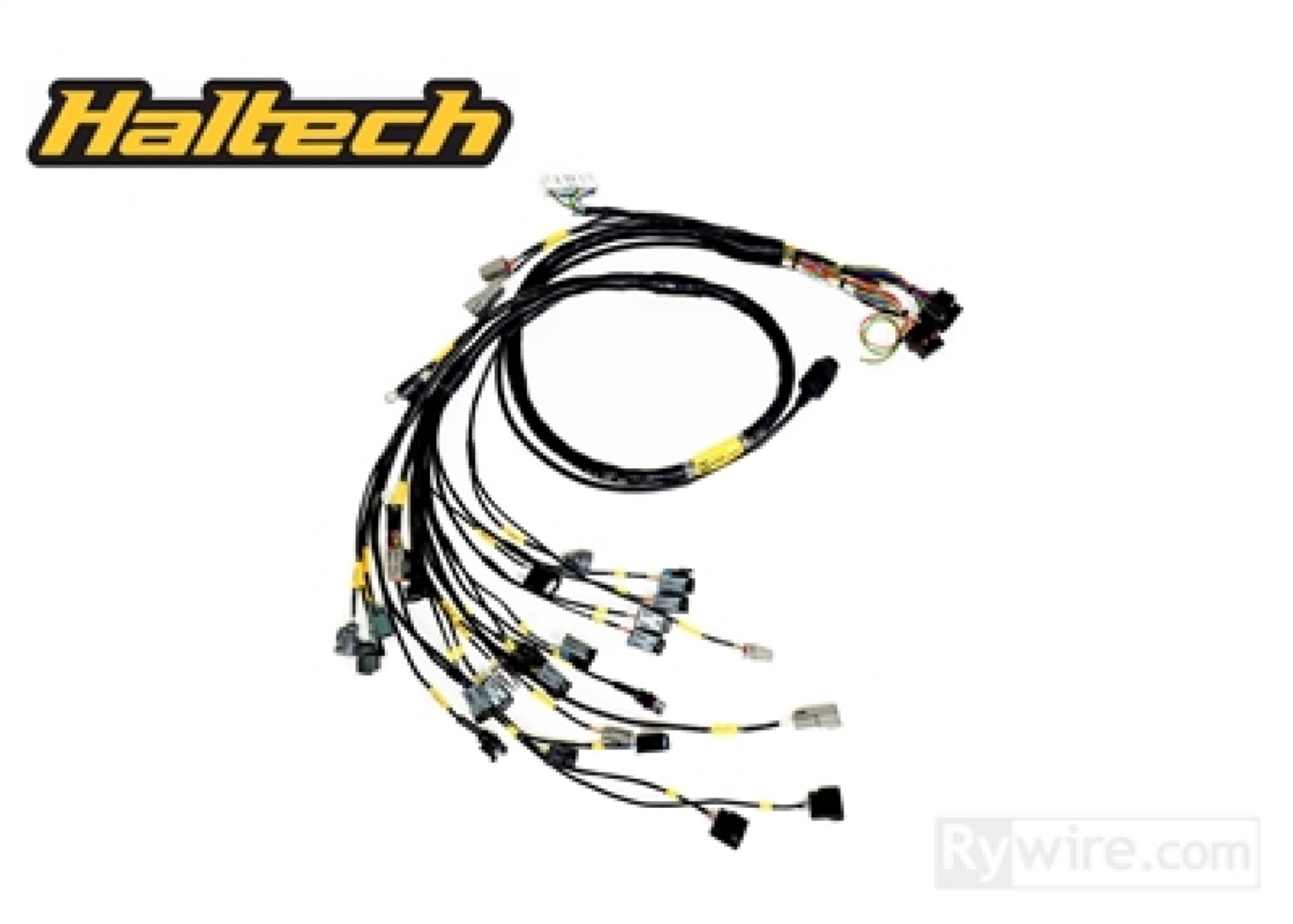 Picture of Rywire Honda B-Series w-Haltech Elite 1500+ Eng Harn w-OBD1 Alt-EV14 Inj-AEM IAT & MAP Adapt Req