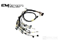 Picture of Rywire Honda B-Series w-MTron KV8 ECU Eng Harn w-OBD1 Alt-EV14 Inj-AEM IAT & MAP Adapter Req