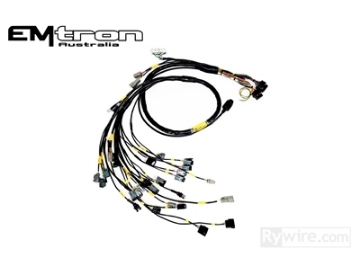 Picture of Rywire Honda B-Series w-MTron KV8 ECU Eng Harn w-OBD1 Alt-EV14 Inj-AEM IAT & MAP Adapter Req