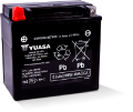 Picture of Yuasa YTX14 Maintenance Free AGM 12-Volt Battery