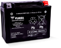 Picture of Yuasa YTX24HL Maintenance Free AGM 12-Volt Battery