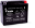 Picture of Yuasa YTX20L Maintenance Free AGM 12-Volt Battery