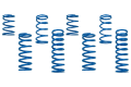 Picture of King Shocks 2022+ Polaris RZR Pro R 2-4 Seat Spring Set 8 Pcs