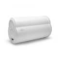 Picture of Marine Bazooka-10 In 250W