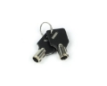 Picture of Weigh Safe Keys Requires Key Code - Set of 2