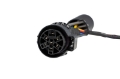 Picture of Diode Dynamics Stage Series C1R 7-pin Dual-Output Trailer Wiring Harness