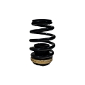 Picture of BLOX Racing 12-13 Honda Civic SI Plus Series Fully Adjustable Coilovers