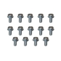 Picture of Moroso GM Powerglide Stamped Steel Transmission Pan Bolts - Set of 14