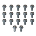 Picture of Moroso 4L60-4L60E-200R4-700R4 Transmission Pan Bolts - Set of 17