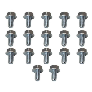 Picture of Moroso 4L60-4L60E-200R4-700R4 Transmission Pan Bolts - Set of 17
