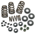 Picture of S&S Cycle 04-19 XL Valve Spring Kit - -650in