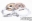 Picture of XClutch Subaru 7-25in Twin Solid Ceramic Multi-Disc Service Pack
