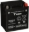 Picture of Yuasa YIX30L-PW Maintenance Free AGM 12-Volt Battery