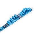 Picture of Borne Off-Road Heavy-Duty Ratchet Tie-Down Kit 2-Pack - Blue