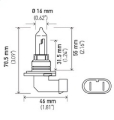 Picture of Hella Bulb 9005-HB3 12V 65W P20d T4
