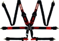 Picture of RaceQuip Black FIA CAMLOCK 6pt Pull Down Lap
