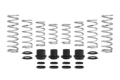 Picture of Eibach 18-20 Polaris RZR XP 4 Turbo Fox Pro-UTV Stage 2 Performance Spring System Set Of 8 Springs