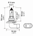 Picture of Hella Bulb 9006-Hb4 12V 55W P22D T4 2