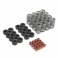 Picture of Skunk2 Honda K20C1-K20C4 Ultra Valve Springs and Spring Base Kit