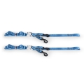 Picture of Borne Off-Road Cam Buckle Tie-Down Kit 2-Pack Blue
