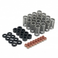Picture of Skunk2 Honda L15B7 Ultra Valve Springs and Spring Base Kit