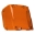 Picture of Rigid Industries Light Cover for D-SS Series Amber PRO