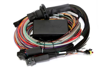 Picture of Haltech Universal Elite 2500-2500 T Premium Wire-In Harness