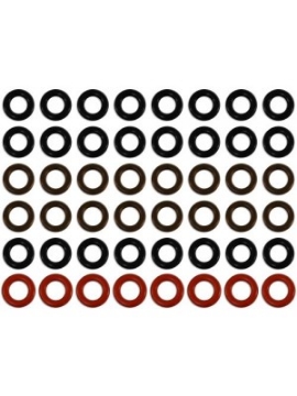 Picture of Seal kit for Fuel Injector Clinic Domestic style injectors